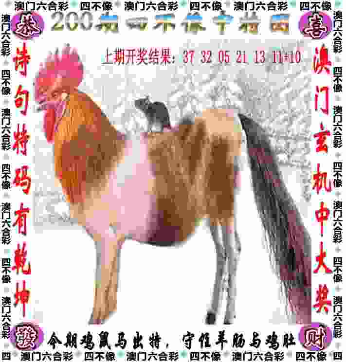 777888管家婆凤姐 v4.2.56.93 官方正式版 1